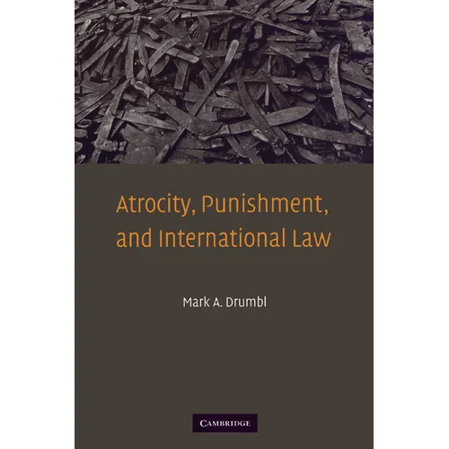 Atrocity, Punishment, and International Law