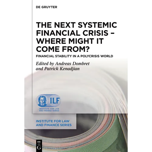 The Next Systemic Financial Crisis - Where Might It Come From?: Financial Stability in a Polycrisis World