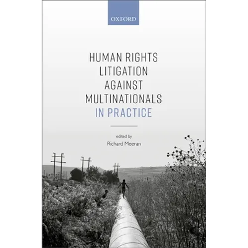 Human Rights Litigation Against Multinationals in Practice