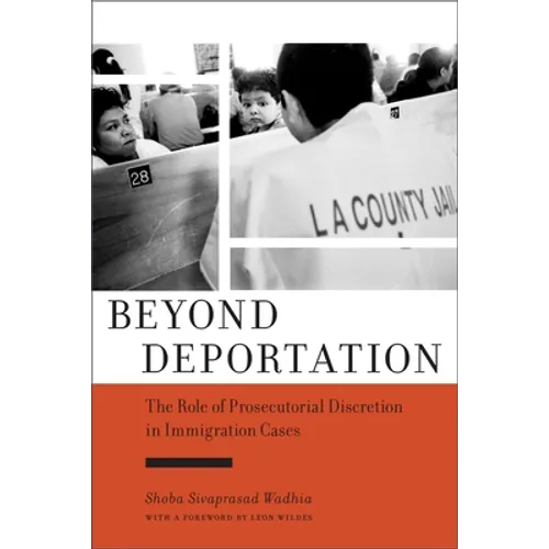Beyond Deportation: The Role of Prosecutorial Discretion in Immigration Cases
