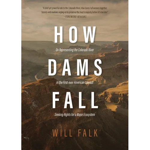 How Dams Fall